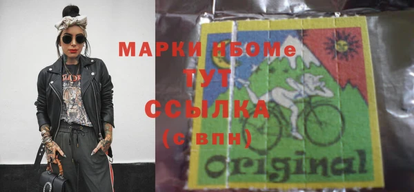 прущие грибы Новодвинск