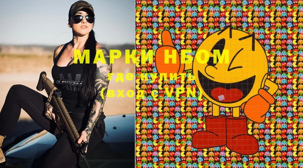 прущие грибы Новодвинск