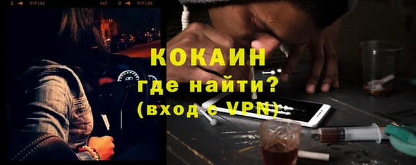прущие грибы Новодвинск