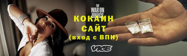 прущие грибы Новодвинск