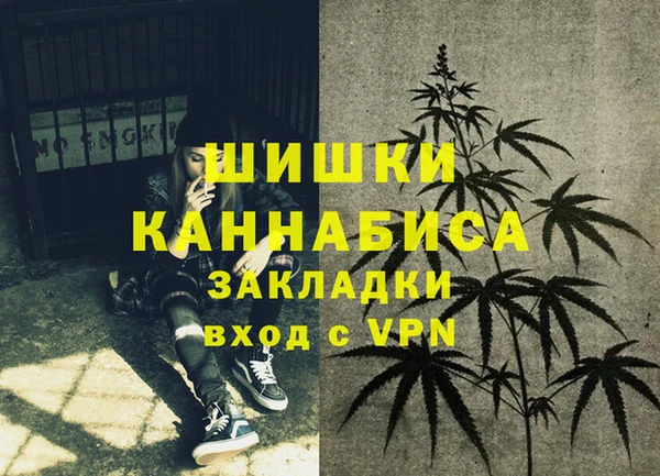 прущие грибы Новодвинск