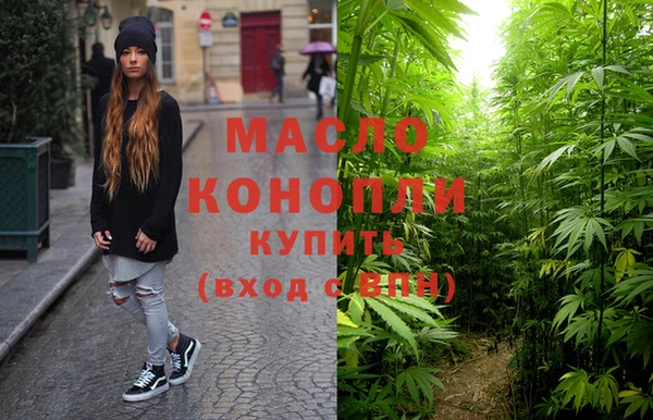 прущие грибы Новодвинск