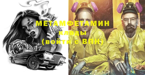 прущие грибы Новодвинск