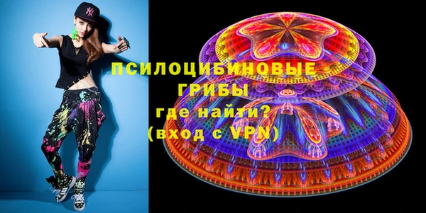 прущие грибы Новодвинск