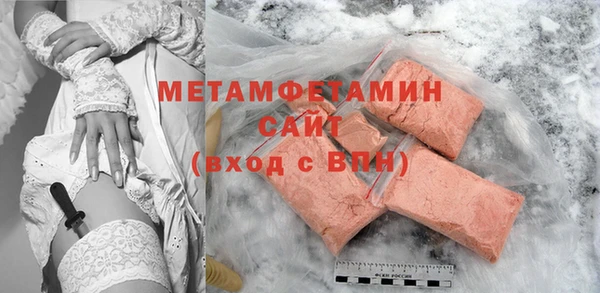 прущие грибы Новодвинск