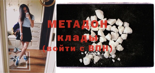 прущие грибы Новодвинск