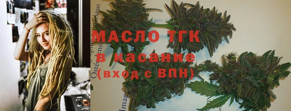 прущие грибы Новодвинск