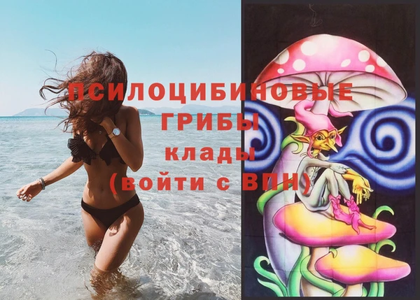 каннабис Новокубанск