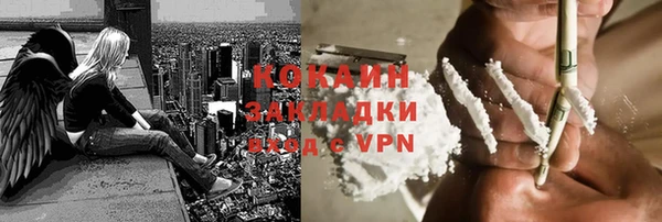 прущие грибы Новодвинск