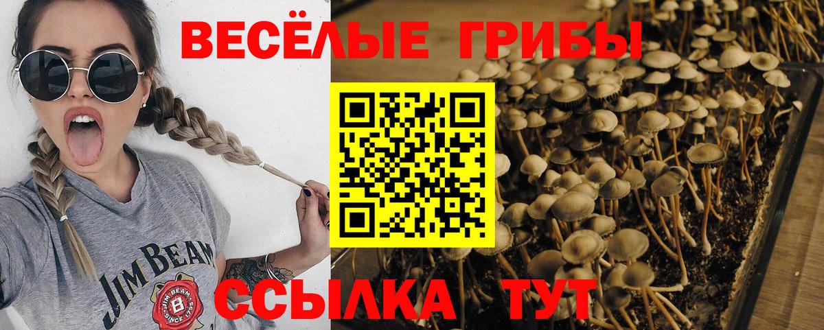 Галлюциногенные грибы мицелий  Вход с VPN  Лосино-Петровский 